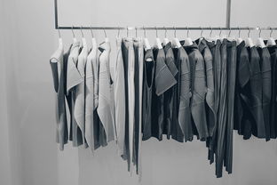 广东苹果服装品牌 时尚与品质的完美结合